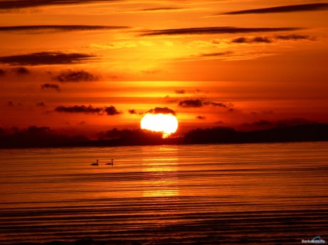 Fuente imagen: http://wallpapers-hq.ru/es/preview.php?hd=77093